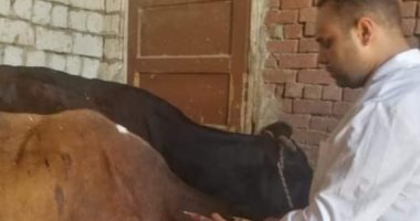 محافظ الفيوم يتابع أعمال الحملة القومية للتحصين ضد الحمى القلاعية والوادى المتصدع