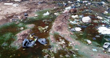 صور.. قصة حى أبو ناصر الحائر بين مركزى الجمالية والمنزلة بالدقهلية