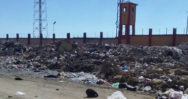 منطقة الصفوة بحى الزهور بؤرة إهمال فى بورسعيد