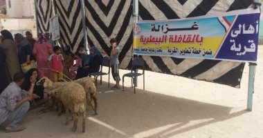 صور.. ختام قافلة سنابل التنمية بقرية غزالة فى الدقهلية