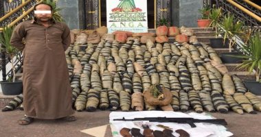 ضبط متهم بحوزته 140 لفافة بانجو بالإسماعلية