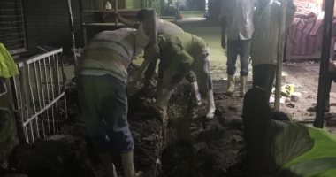 القابضة للمياه تحل شكوى غرق شارع بالمنيب بالصرف الصحي