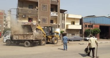 صور.. حملات لرفع القمامة من الشوارع وإنارة الأعمدة فى كفر الزيات