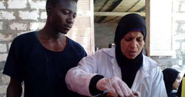 صور.. البعوض والحشرات الطائرة تؤرق أهالى مدن أسوان