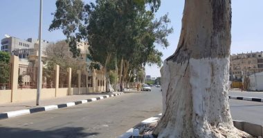 صور.. تطوير المنطقة المحيطة بجراج روكسى تمهيدا لافتتاح المرحلة الأولى