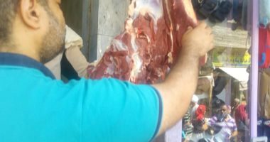 صور..  تحرير 32 محضر تمويني  وضبط 100 كيلو أسماك غير صالحة بسوهاج