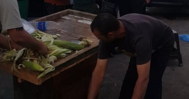 صور.. أحياء الإسكندرية تكثف حملات الإزالة لراحة المصطافين