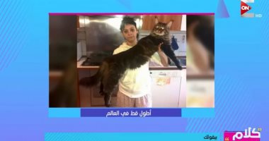"كلام ستات".. أطول قط فى العالم بــ "متر و20 سم" .. فيديو