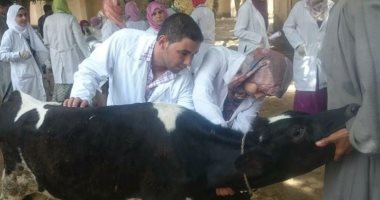 جامعة سوهاج :  قوافل بيطرية  بمركزي "اخميم والمراغة"