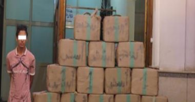 إحباط محاولة تصنيع وتدوير نصف طن حشيش بـ4500 طربة فى الإسكندرية.. صور