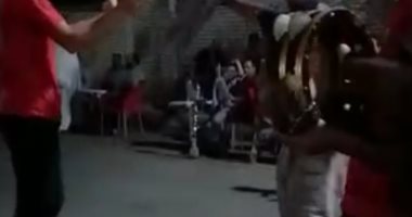 بالطبل والمزمار البلدي.. شاهد كيف احتفل المنياوية بفوز الأهلي بالدوري