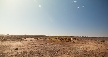 بسبب تغير المناخ.. موجات جفاف مميتة فى طريقها للولايات المتحدة 