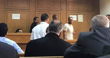قبول استئناف النيابة على قرار إخلاء سبيل شادى الغزالى حرب 