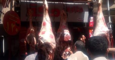 ضبط 250 كيلو لحوم غير صالحة للاستخدام الآدمى بشبرا الخيمة 