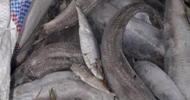 صور .. ضبط لحوم و دواجن منتهية الصلاحية فى مطعم بالأسكندرية 
