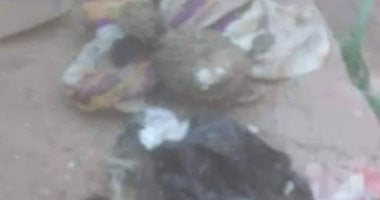 صور.. العثور على ورق سحر وعرائس ممزقة أثناء تطهير المقابر بقرية طنان بقليوب