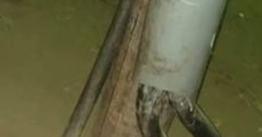 "مصائد الموت".. شكوى من انتشار كابلات الكهرباء العارية فى سوهاج