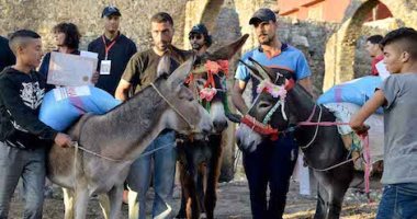 2500 درهم وكيس علف.. جائزة أسرع حمار وأجمل حمارة فى المغرب