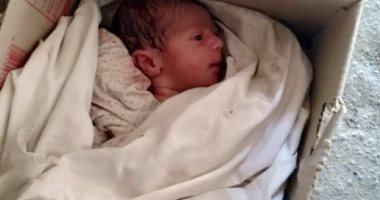 فيديو وصور.. تفاصيل العثور على رضيع ألقت به سيدة مجهولة حيا فى مقابر الغفير.. شهود عيان: عثرنا عليه داخل كرتونة بجوار كلبه تحتضن صغارها ولم تمسه بسوء.. وسكان المدافن يكشفون: مش أول مرة نلاقى أطفال فى المكان ده