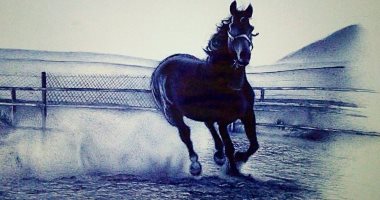 قارئ يشارك "صحافة المواطن" برسومات مميزة باستخدام القلم الرصاص