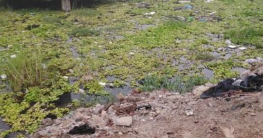 مطالب بتطهير بحر شبين بمركز السنطة الغربية من المخلفات.. صور