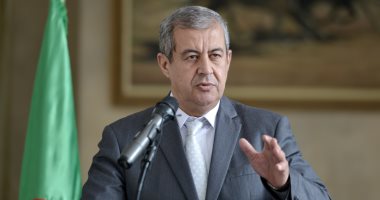 وزير الاتصال الجزائرى: جهود الحوار والوساطة تمضى وفق مبادرة حكيمة