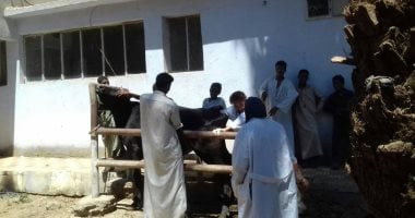 صور.. قافلة مجانية للمسح التناسلى الشامل للثروة الحيوانية بأسوان