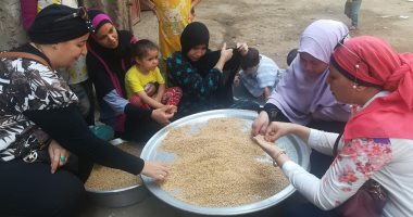 صور .. عضوات القومى للمرأة ينظفن القمح خلال حملة طرق الأبواب ببنى سويف