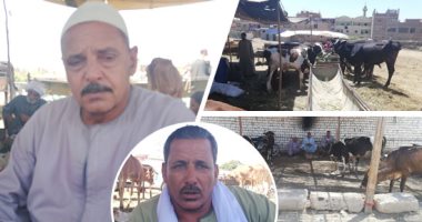 صور.. انخفاض كبير فى أسعار الماشية بالأسواق قبل عيد الأضحى.. التجار: الجزار هو المستفيد الوحيد ويكسب الضعف.. المربون: غلاء الأعلاف دفع الكثير للبيع بأقل الأثمان.. وكيلو الماعز من 55 لـ70 جنيها والعجول بـ50