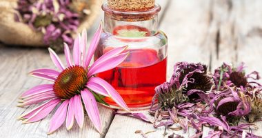 4 طرق طبيعية لتقوية المناعة ..منها زهرة الإخناسيا