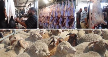 اعرف كل حاجة.. أهم 10 أخبار على مدار اليوم السبت