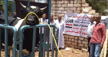 تدعيم الوادى الجديد بلحوم أضاحى وتجهيز عرائس بقيمة 670 ألف جنيه
