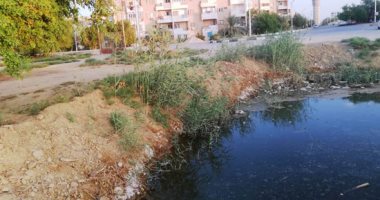 صور.. أهالى الخارجة يشكون اختلاط مياه الصرف بمصرف البحوث الزراعية