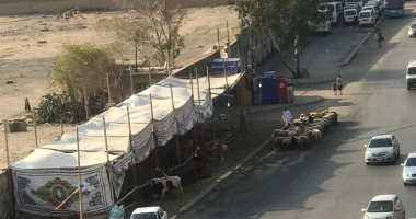أهالى مدينة نصر يشكون من حظيرة أغنام بالشارع الرئيسى