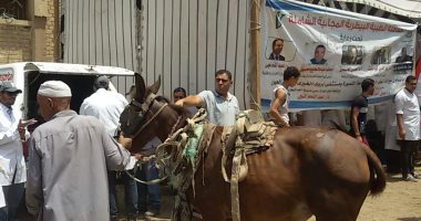 "بيطرى الدقهلية": فحص 1010 حالة وتوفير العلاج مجانا استعدادا لعيد الأضحى