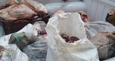 صور.. ضبط لحوم بلدى فاسدة بـ4 محلات جزارة ببورسعيد