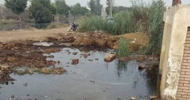 صور.. مياه الصرف تغرق مجزر سنباط فى الغربية.. ووكيل "الرى": سيتم حل المشكلة