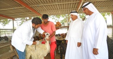 الإمارات تختتم حملة توزيع الأضاحى وكسوة العيد فى لبنان