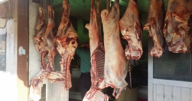 تعرف على خطة محافظات البحيرة وأسوان وبورسعيد ومطروح والمنيا لعيد الأضحى المبارك