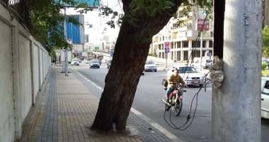 "كابلات وأسلاك عارية".. قارئ يشكو تدهور حال أعمدة الإنارة بالمهندسين (صور)