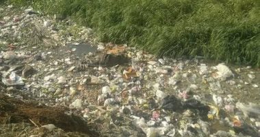 أهالى عزبة رزق بكفر الشيخ يطالبون بتطهير الترعة لأنها تنشر الحشرات