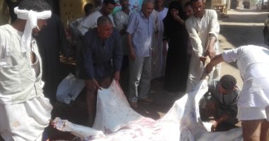 صور.. رئيس مدينة إسنا يشرف على ذبح وتوزيع 3 عجول للأسر الأكثر احتياجاً ليلة العيد