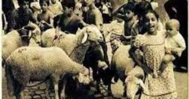 مش هتصدق.. سعر الخروفين فى الأربعينات بـ 610 قرش "صورة"