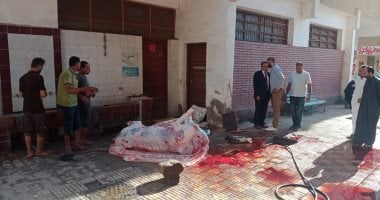 "ذبيحة فى فناء مدرسة".. رئيس مدينة بنها يحرر محضرا لمواطن ذبح الأضحية فى مدرسة ابن خلدون.. التعليم تستبعد مدير المدرسة وتحيل الواقعة للتحقيق.. والحارس: فتحت الباب بناء على أوامر المدير.. المحافظ: المدارس للعلم 