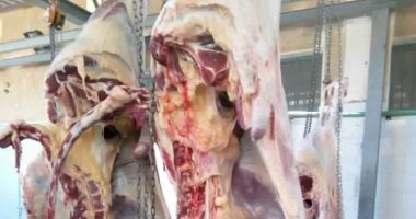 المفتى: الرسول نهى عن ادخار الأضاحى قبل انتهاء أيام التشريق فى وقت الشدة