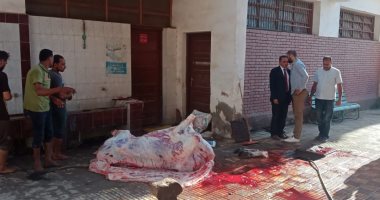 صور.. مواطن يستغل مدرسة ببنها ويذبح بها عجلا