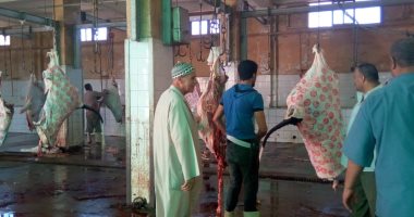 صور.. مجازر كفر الشيخ تستقبل المواطنين مجاناً