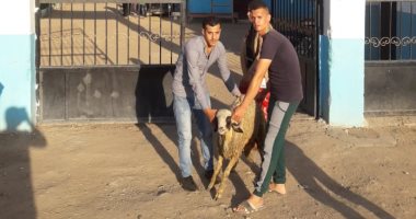 "فريق السعادة".. متطوعين يهدون خروف العيد لسكان مستعمرة الجذام