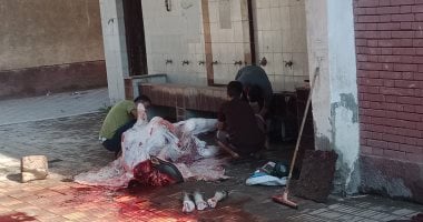 مجلس مدينة بنها يحرر مخالفة ذبح خارج مجزر حكومى