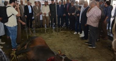 صور.. محافظ الدقهلية يشهد ذبح أضاحى العيد بمجزر ميت الكرما